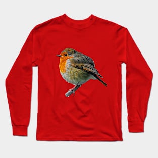 Fluffed up Robin keeping warm Long Sleeve T-Shirt